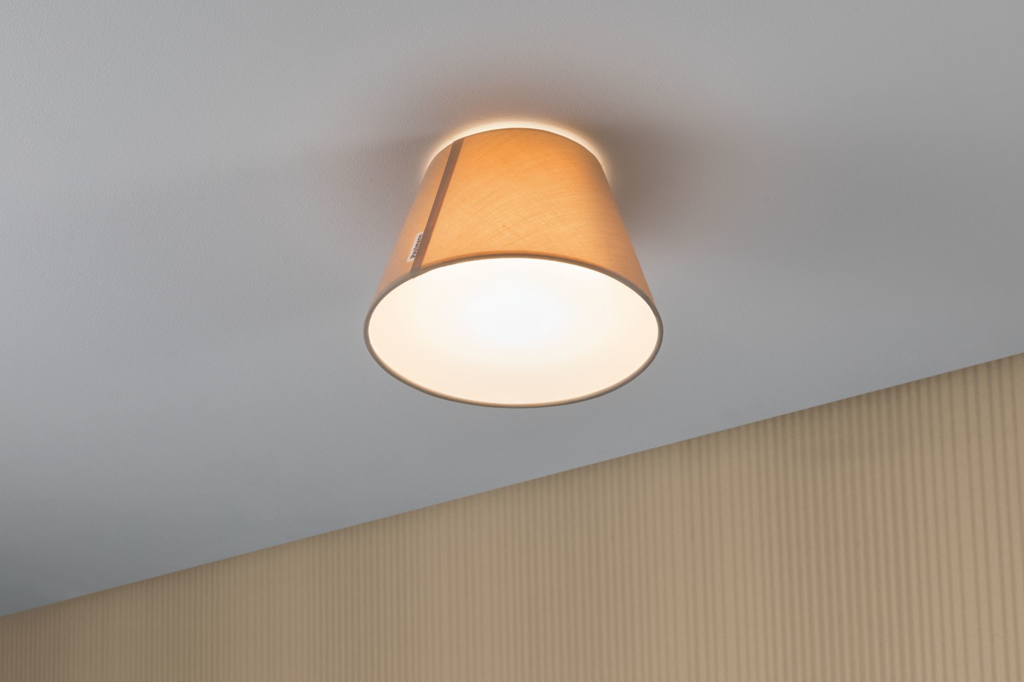 Потолочный светильник Paulmann 70950