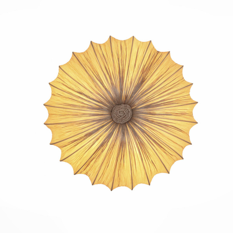 Накладной светильник ST Luce SL351.072.05