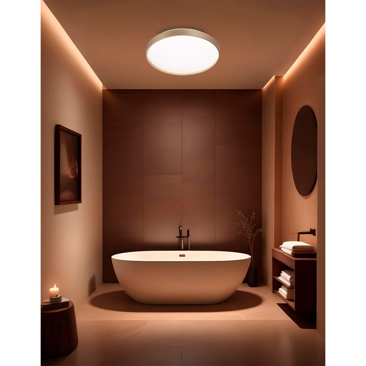 Настенно-потолочный светильник Sonex 7783/DL