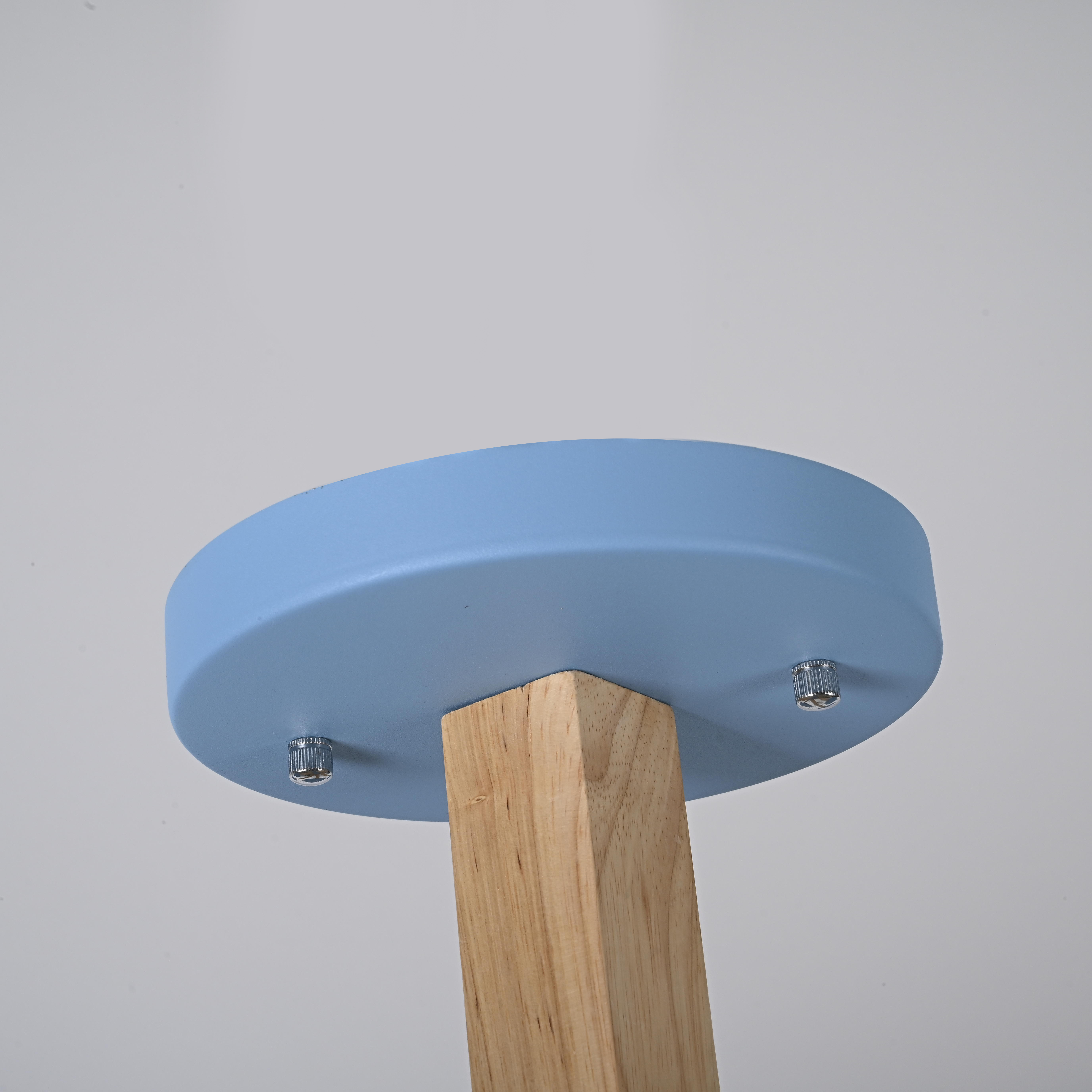 Потолочный светильник TURNA L12 Blue by ImperiumLoft