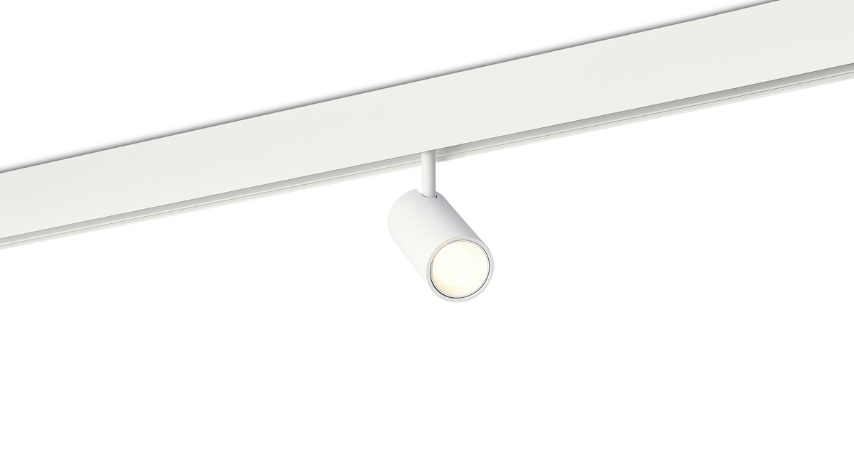 Светодиодный светильник Donolux DL20295NW10WND