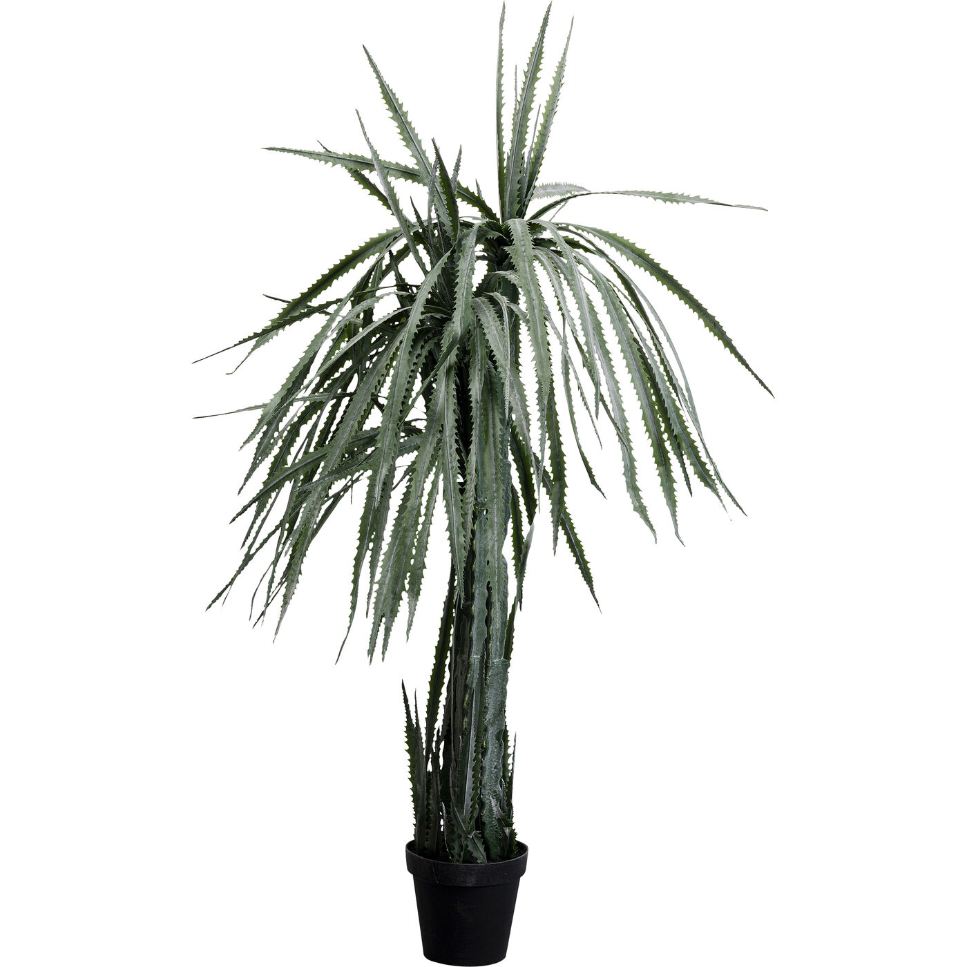 Растение декоративное Dragon Tree 155 см KARE 55916