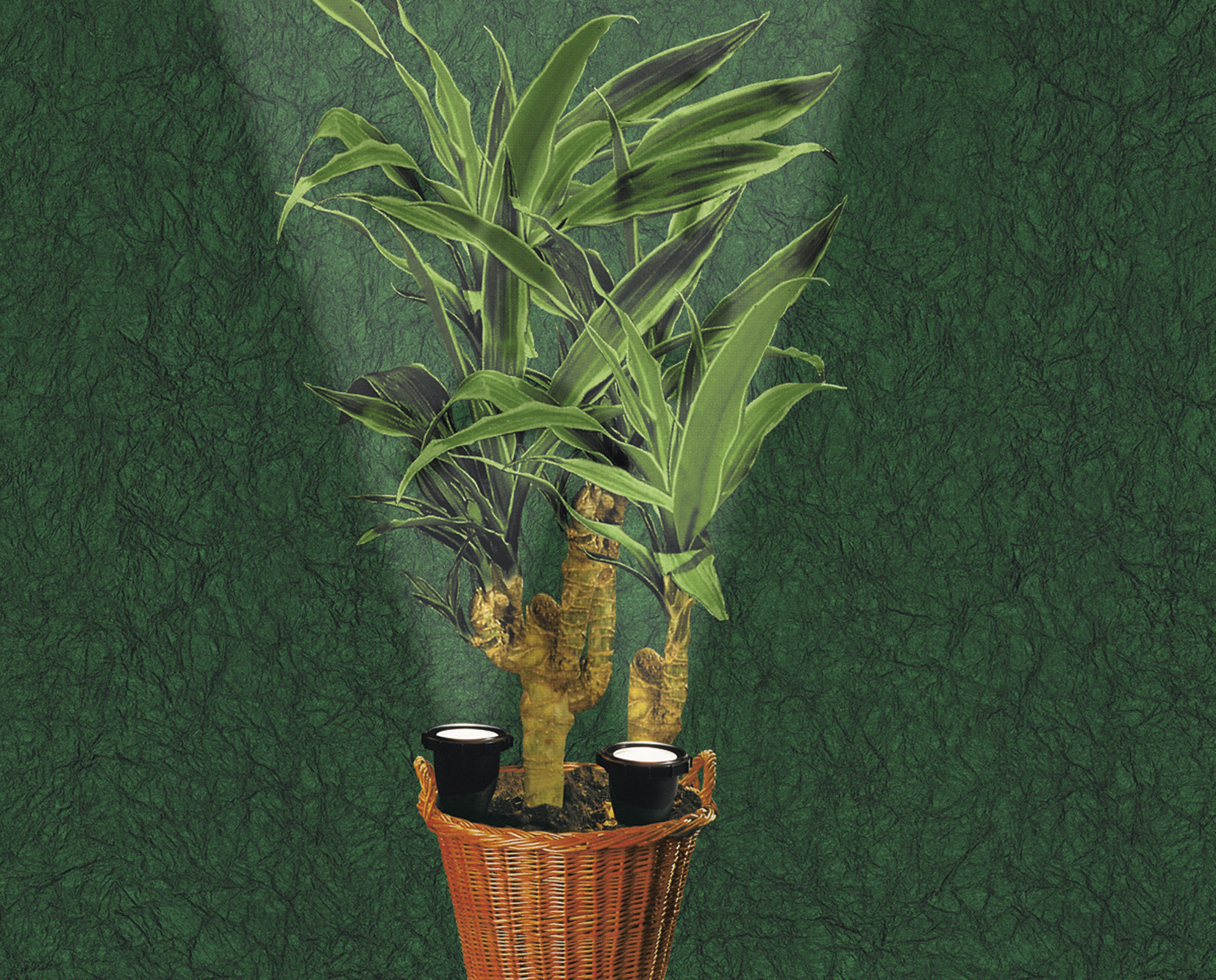 Уличный светильник Paulmann 50325