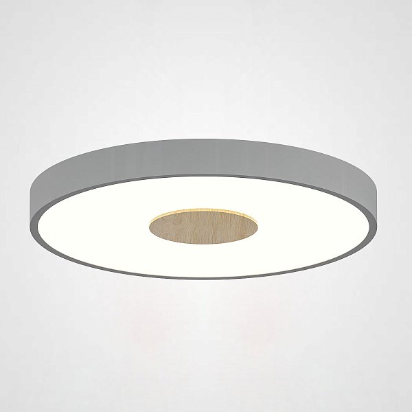 Потолочный светильник CENTRUM D30 Grey by ImperiumLoft