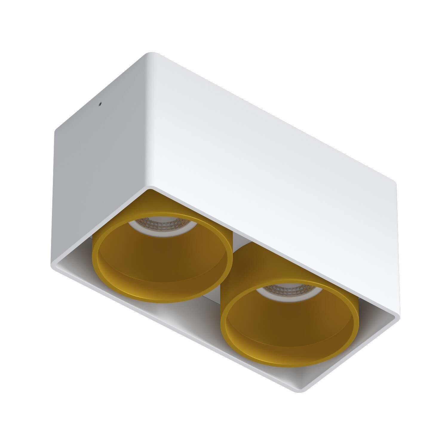 Накладной светильник под сменную лампу Ledron KEA 2 ED GU10 White-Gold