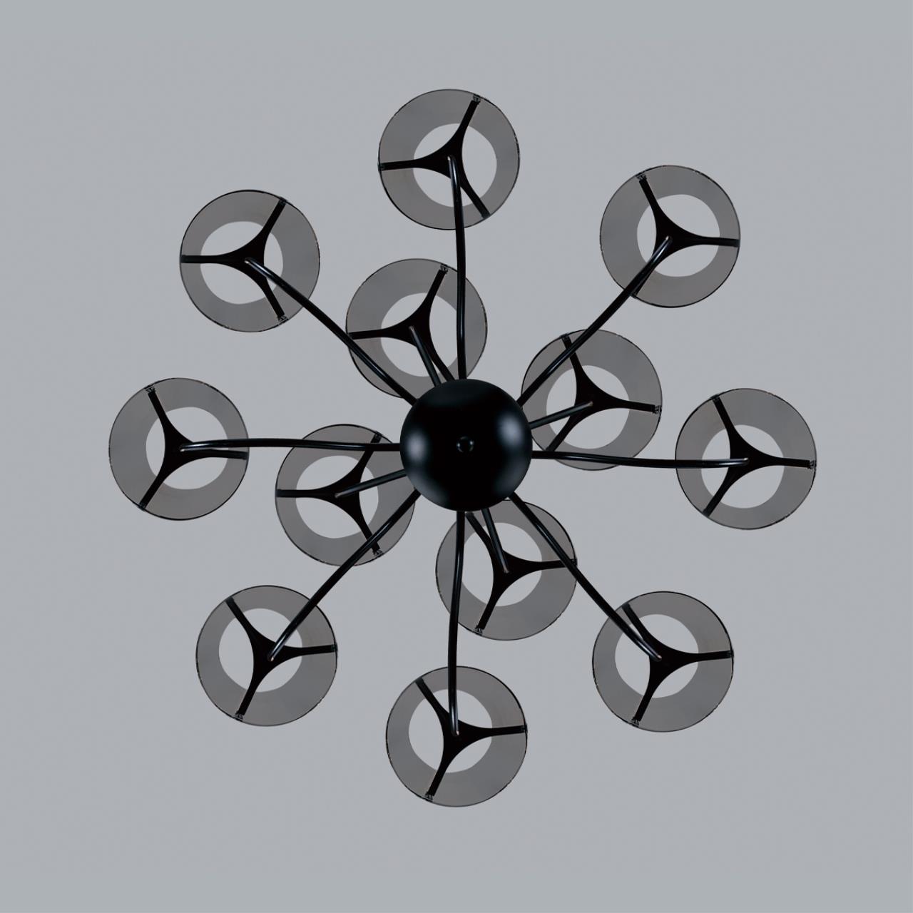 Люстра потолочная Lumion 6570/12C