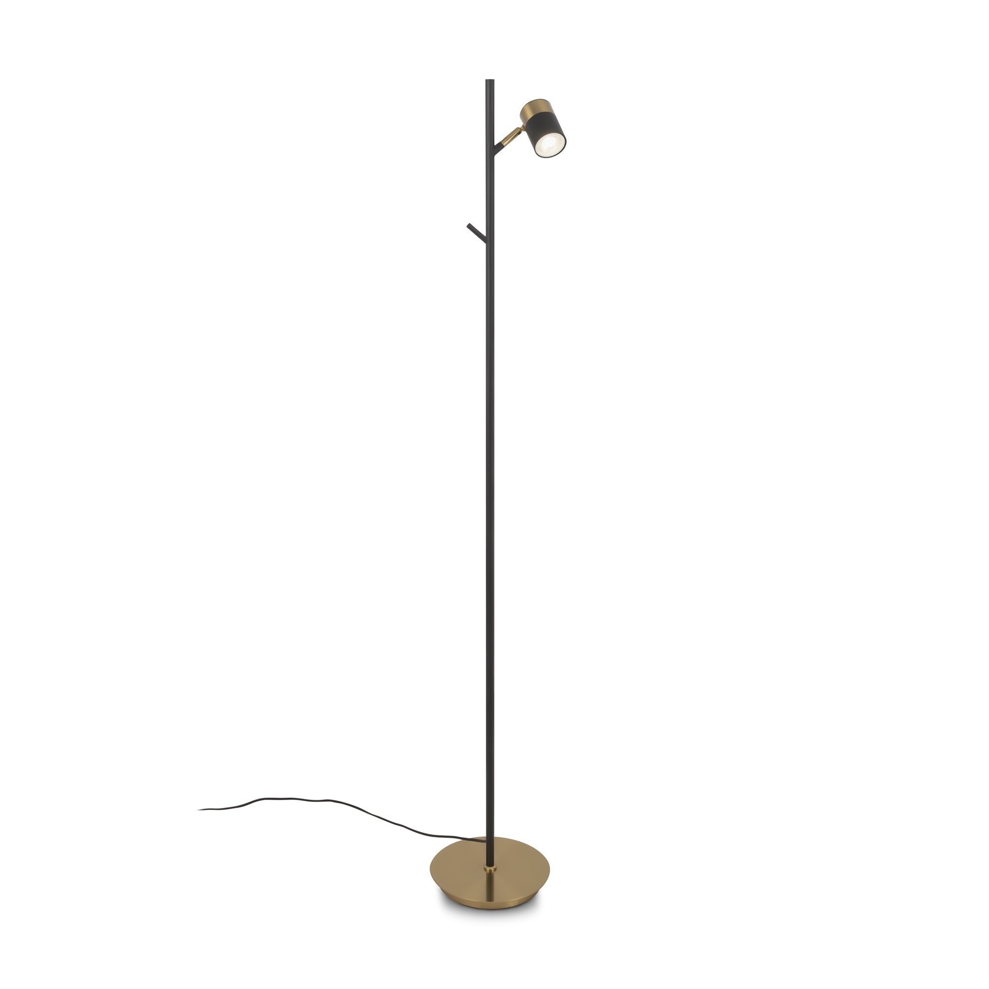 Напольный светильник Freya FR5201FL-01B