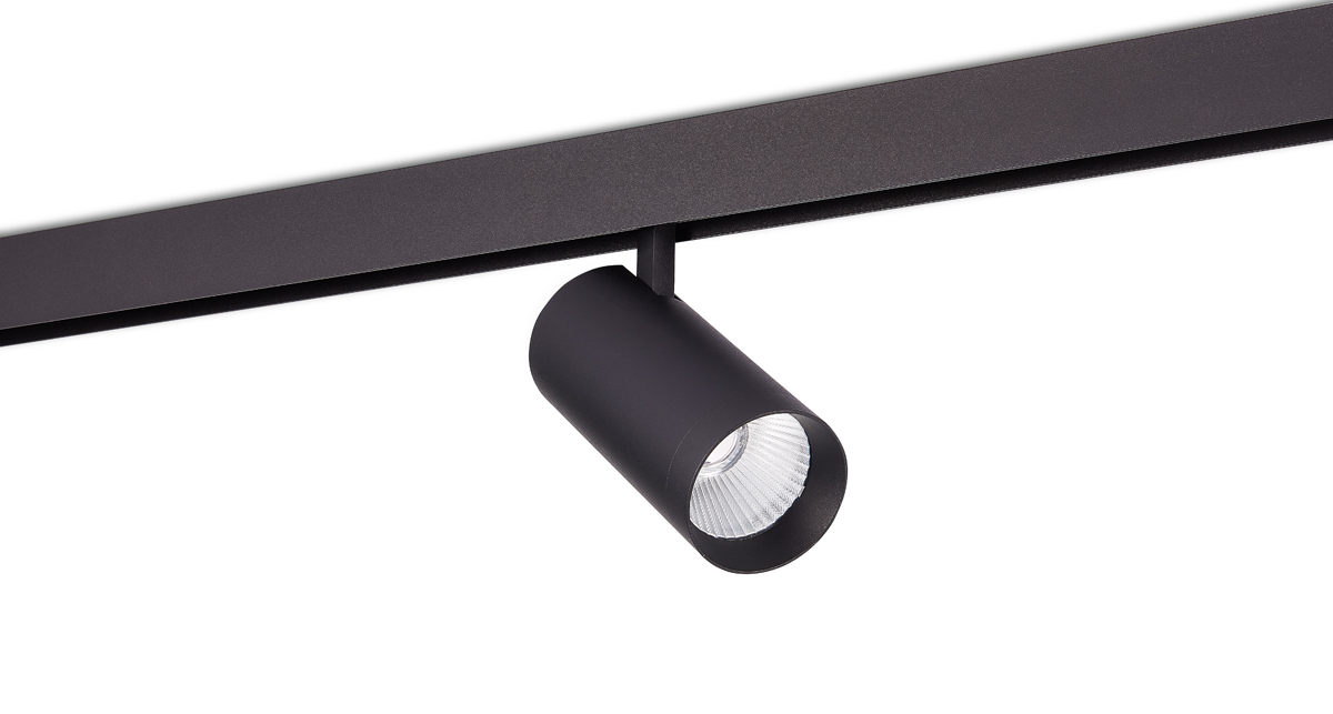 Светодиодный светильник Donolux DL20295WW30B