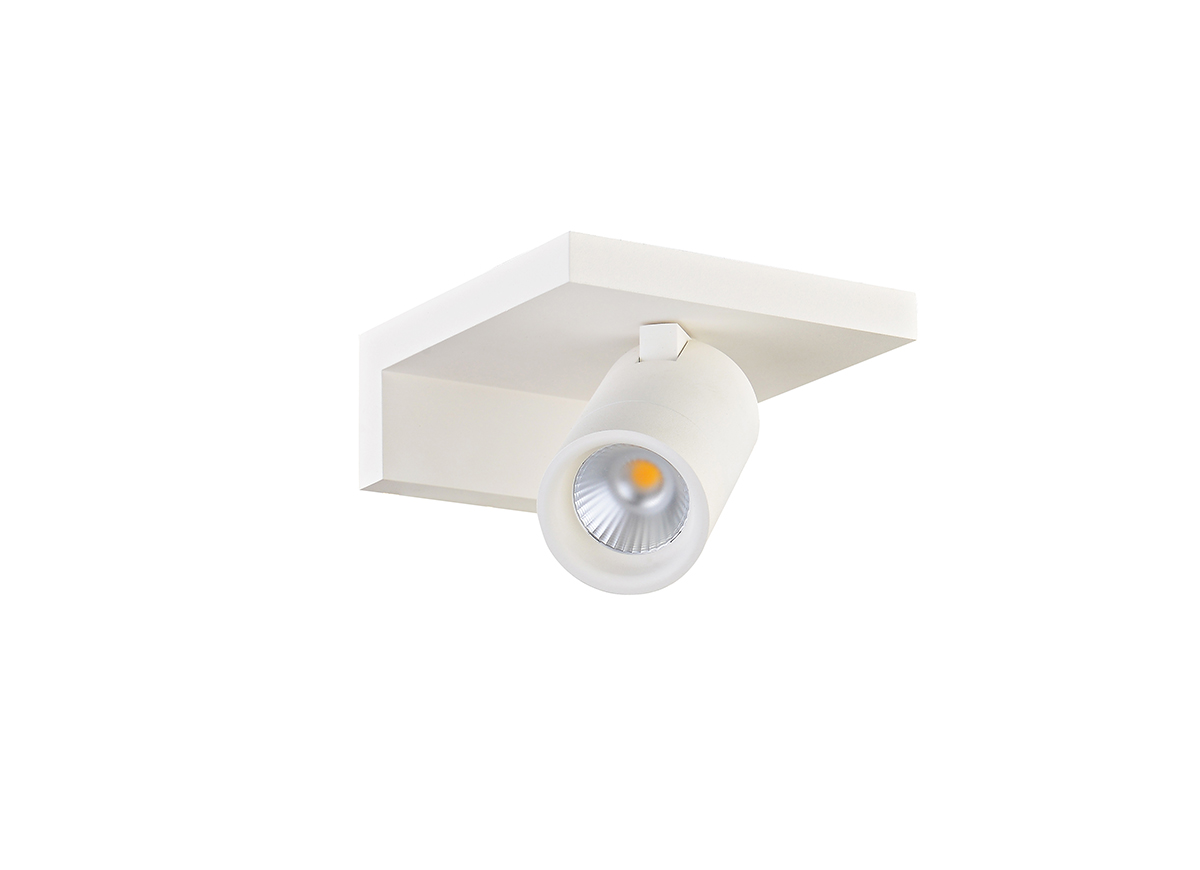 Светильник светодиодный Donolux DL18441/01 White R Dim