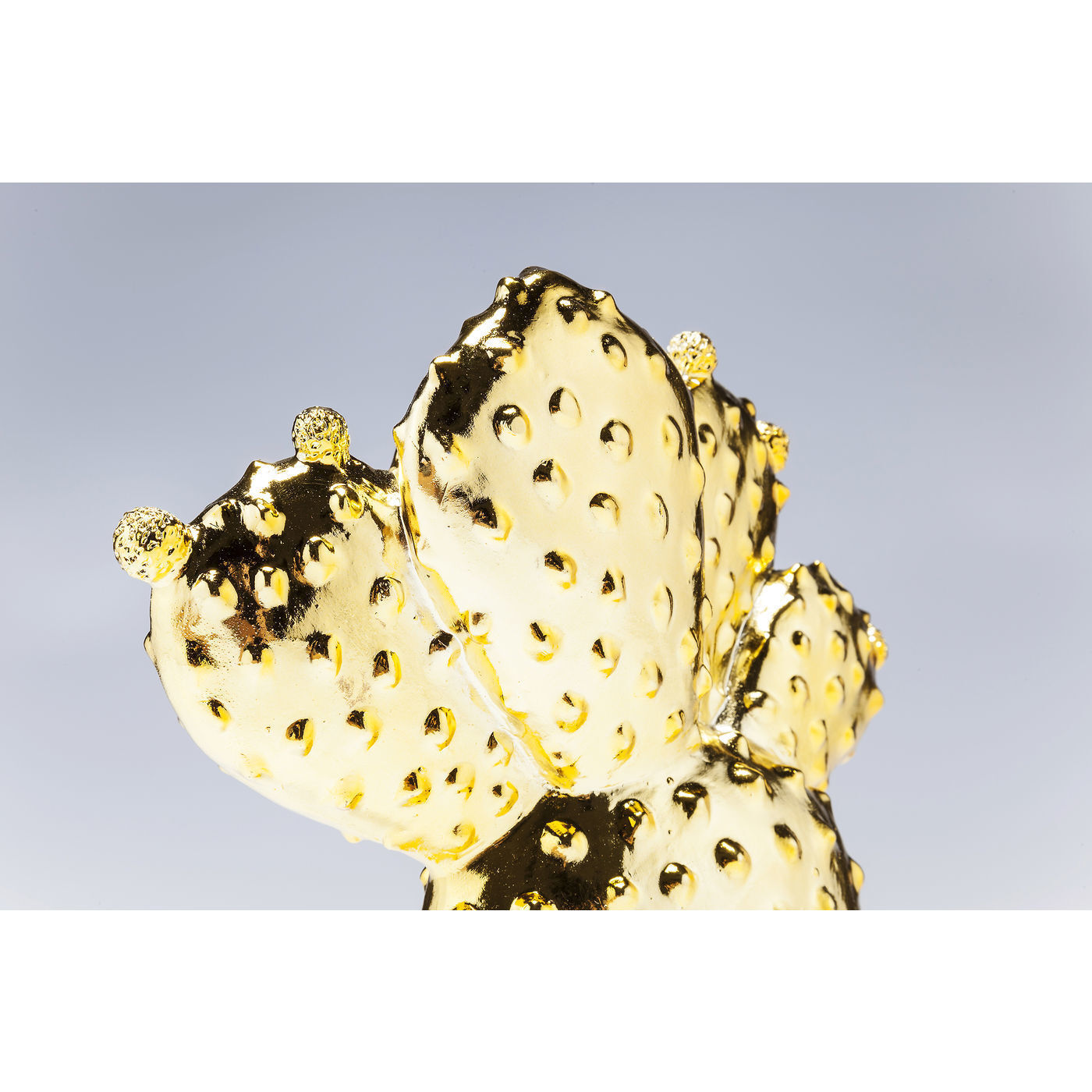 Копилка Cactus 60273 KARE