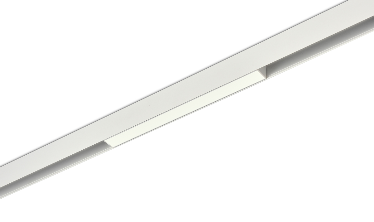 Светодиодный светильник Donolux DL20293NW10WND