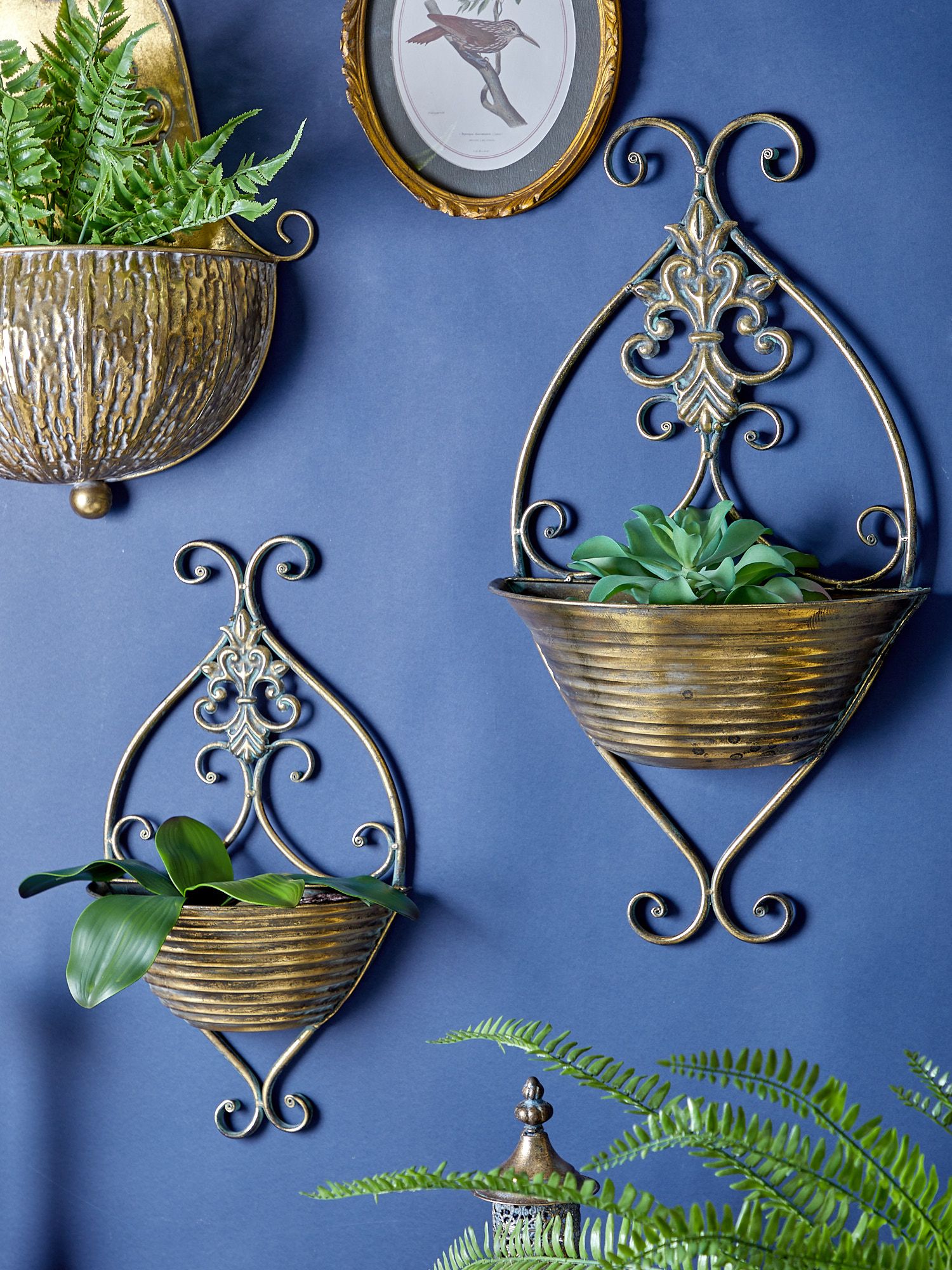 Кашпо настенные Эфиопия, набор Glasar 57-367