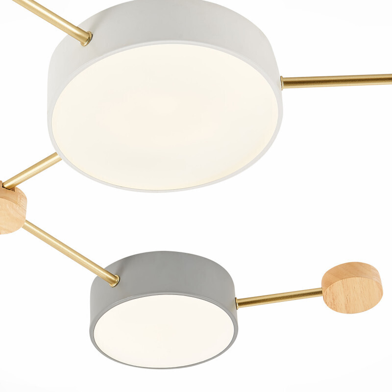 Накладной светильник Evoluce SLE600102-06