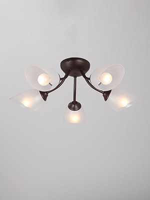 Накладная люстра Vitaluce V3404/5PL