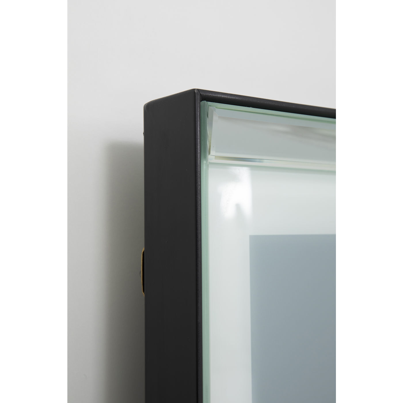 Картина в рамке Dog 51875 KARE