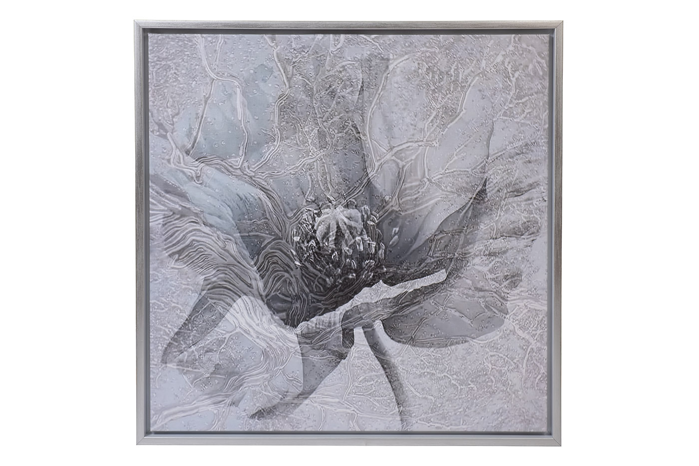 Холст "Голубой мак" в серебряном багете Garda Decor 89VOR-AQUARELLE39