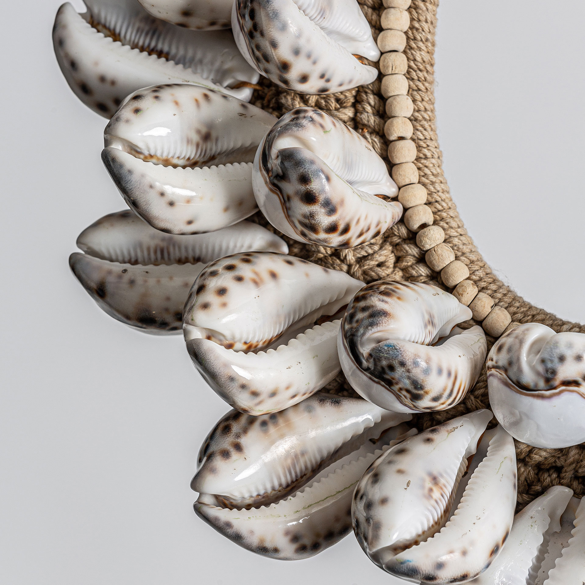 Фигурные ракушки 20557 Vical