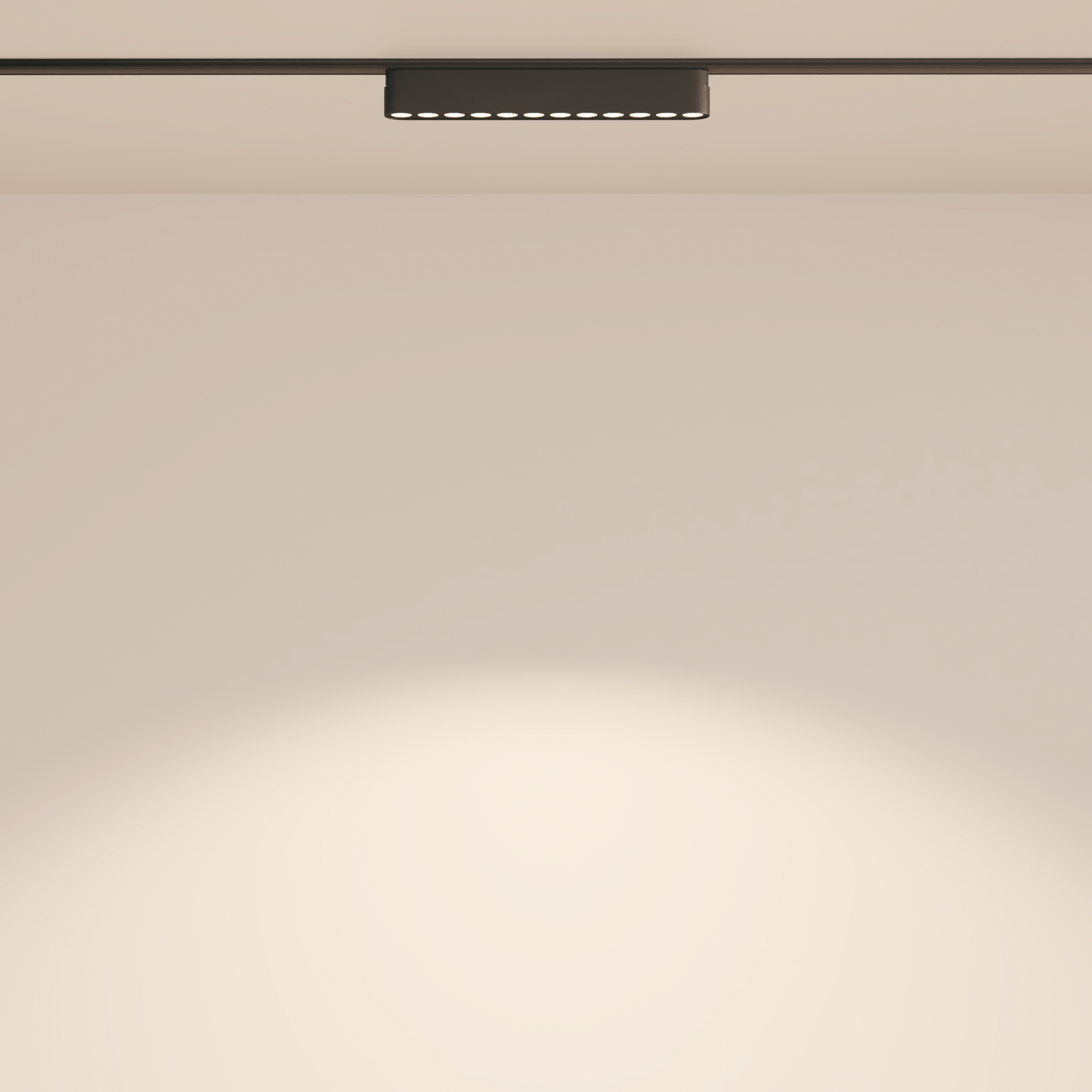 Трековый светильник Technical TR082-1-12W4K-M-B