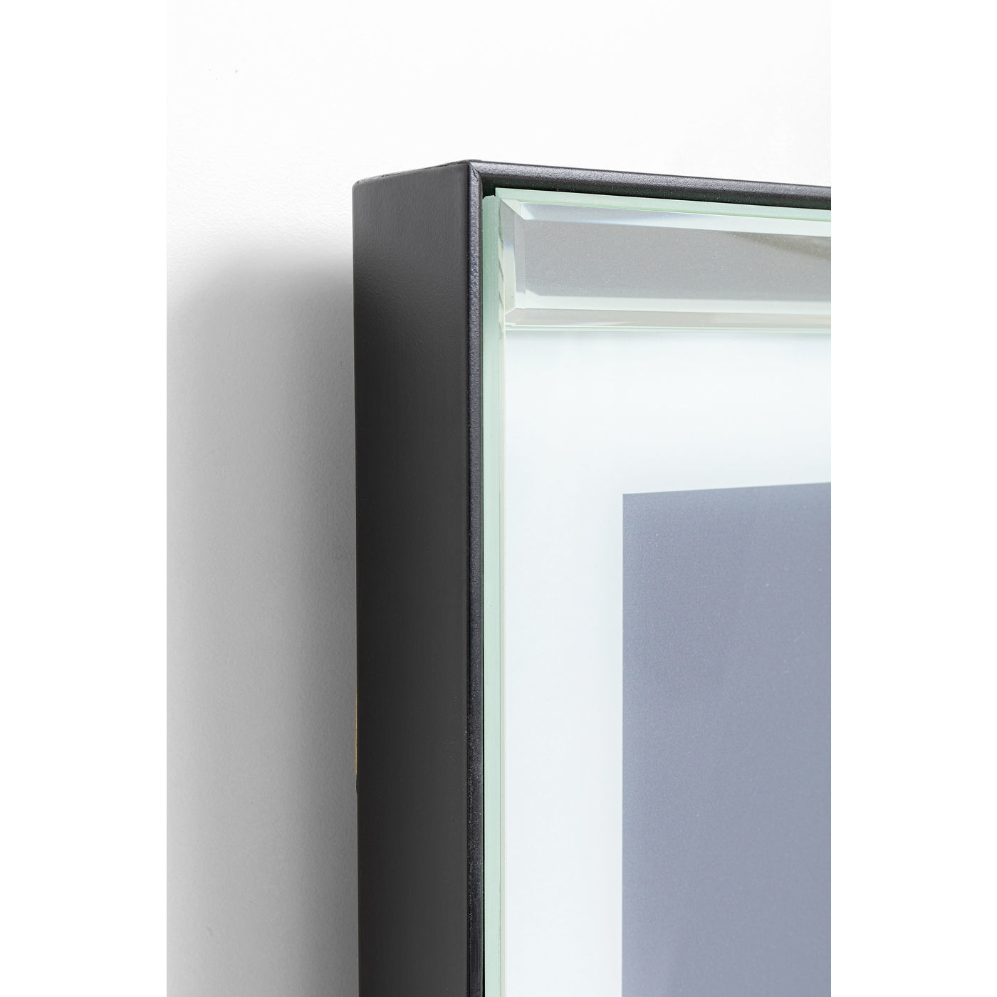 Картина в рамке Dog 51877 KARE