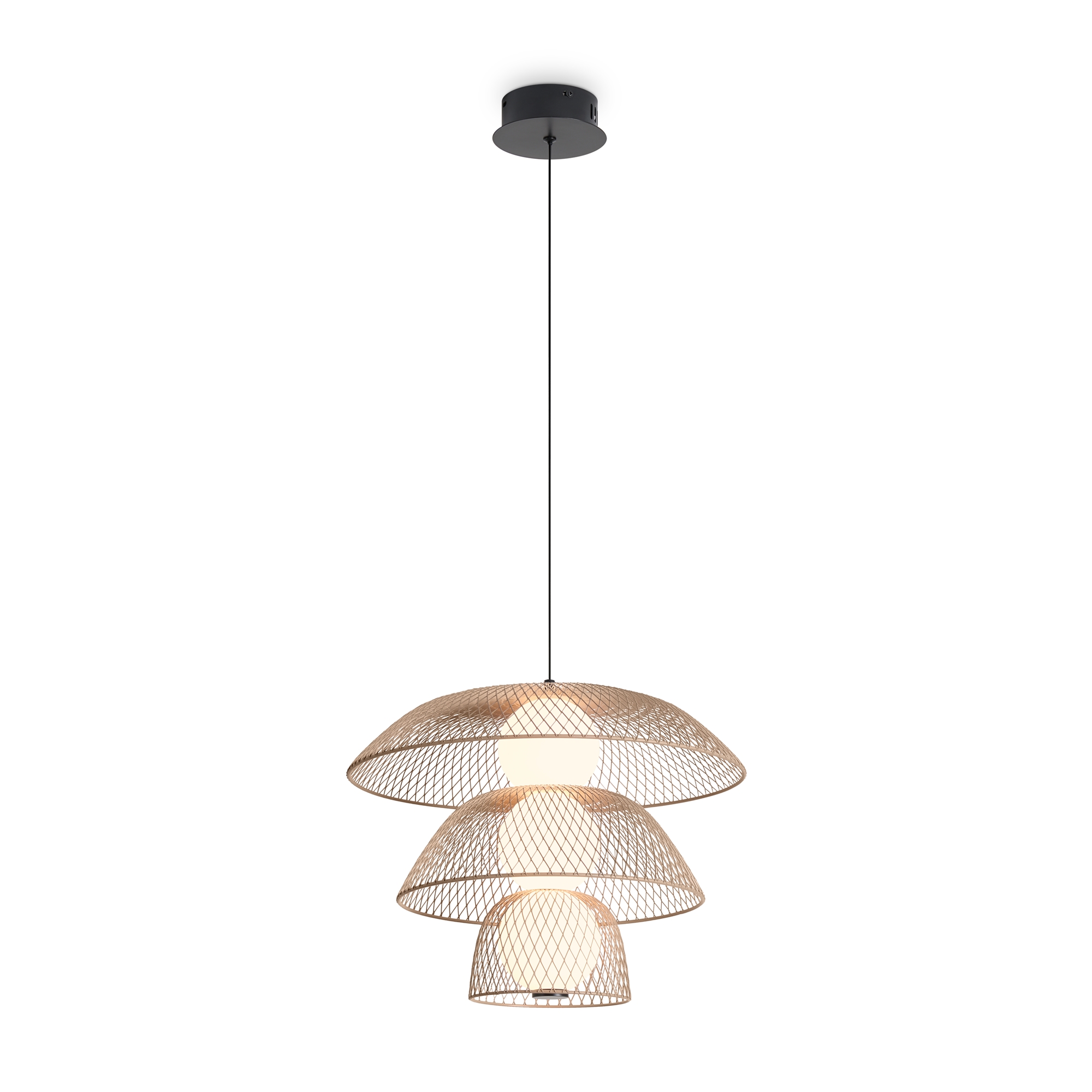 Подвесной светильник Freya FR5545PL-L5BG