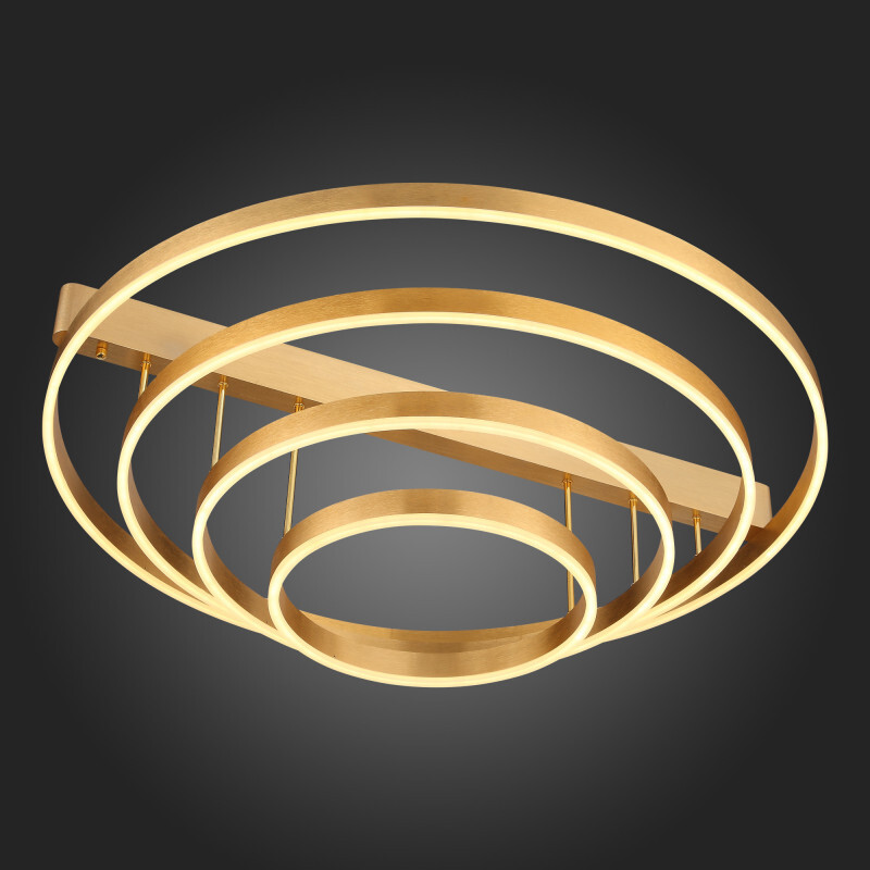 Накладная люстра ST Luce SL944.202.04