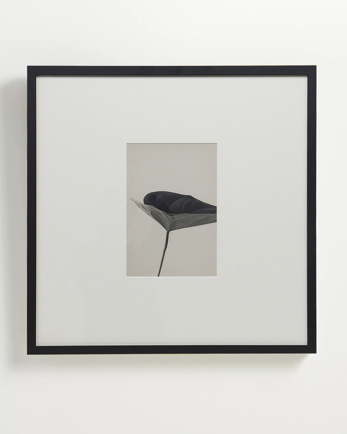 Интерьерный постер Floral - I Louvre Home DPP220924VHS