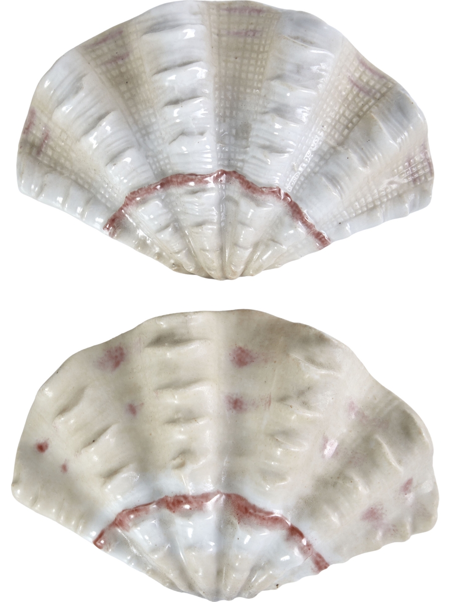 Фигурка раковина Тридакна, в ассортименте Glasar F1181/4