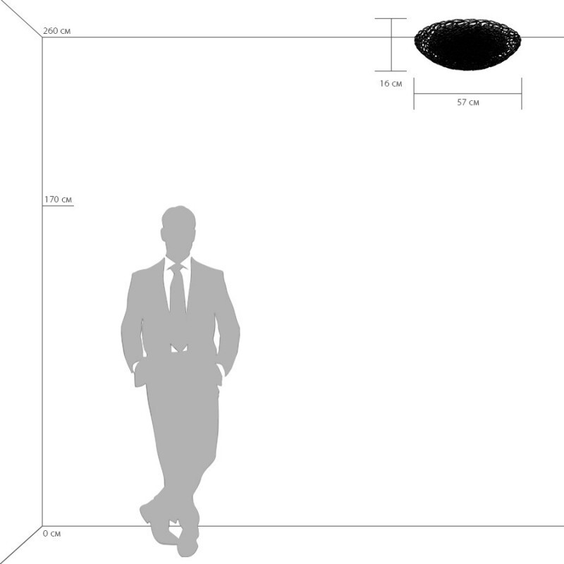 Накладная люстра Lightstar 603100