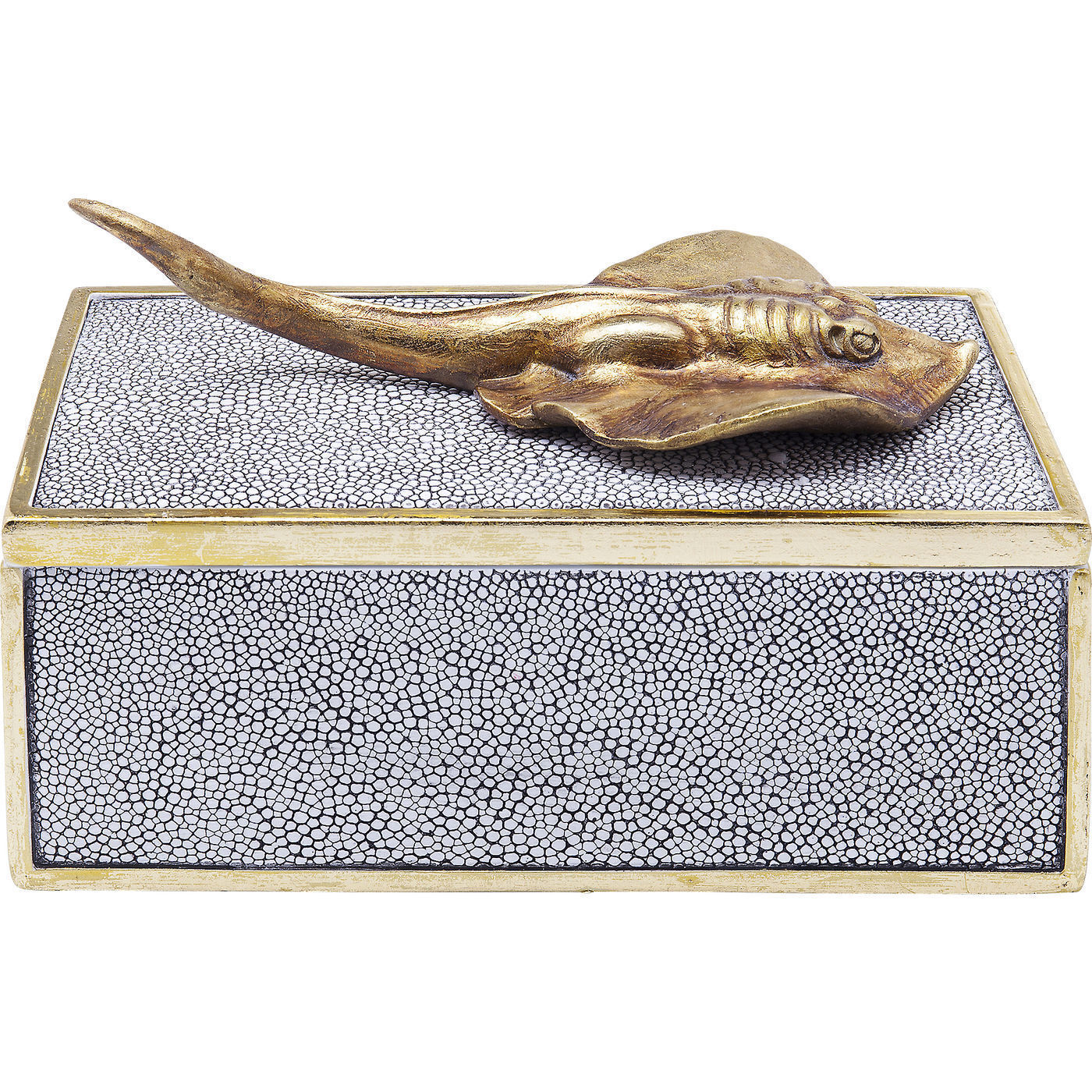 Шкатулка Skate 61628 KARE