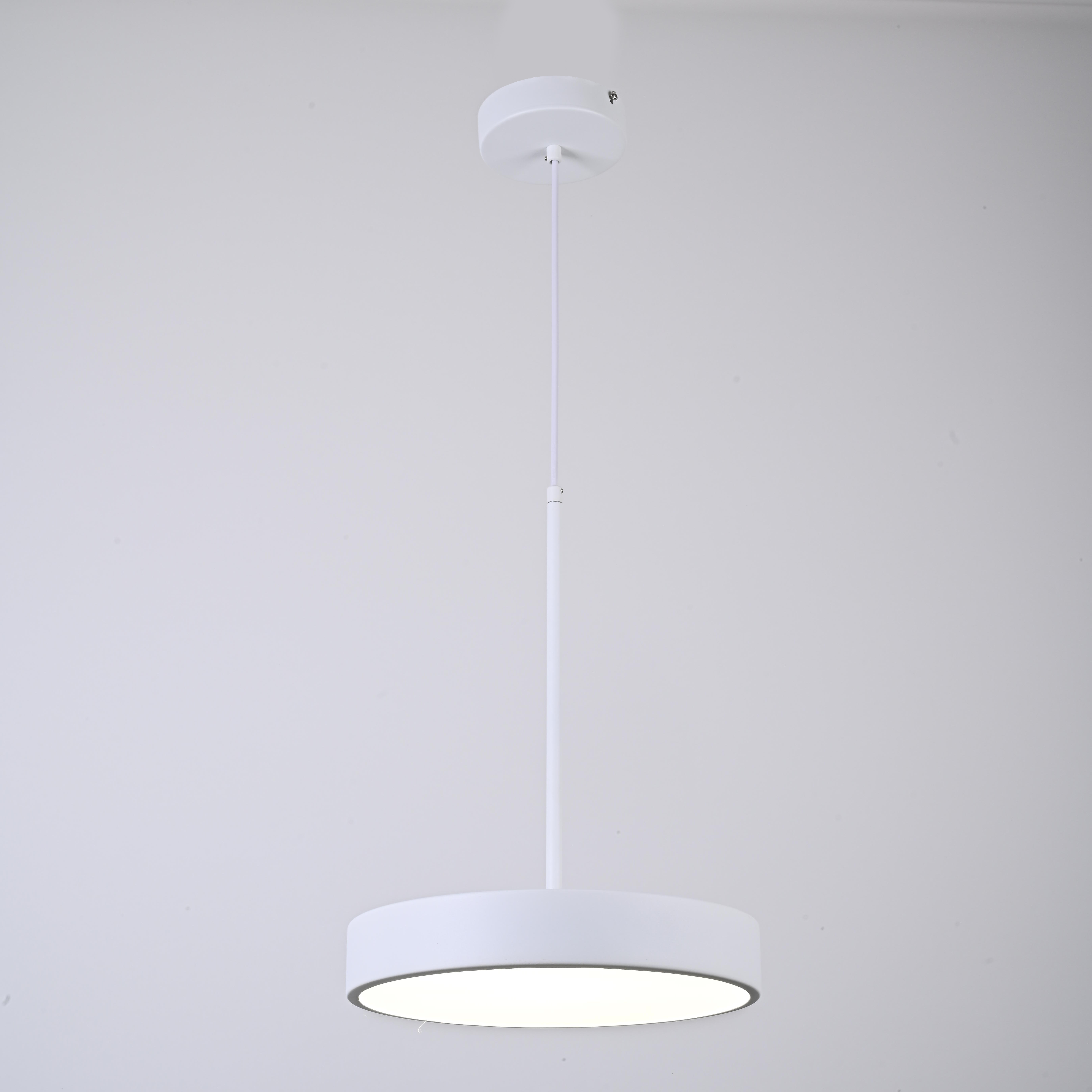 Подвесной светильник TURNA ONE D30 White by ImperiumLoft