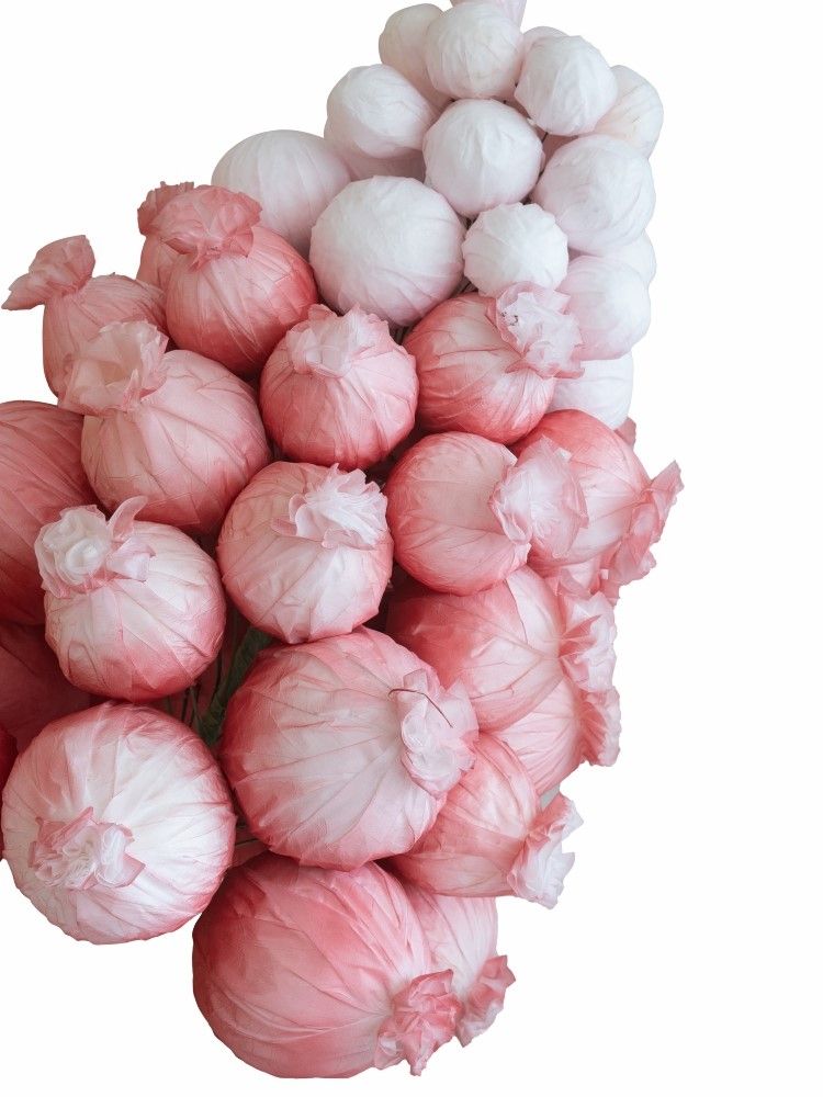 Растение декоративное Гиацинт восточный Glasar F98604