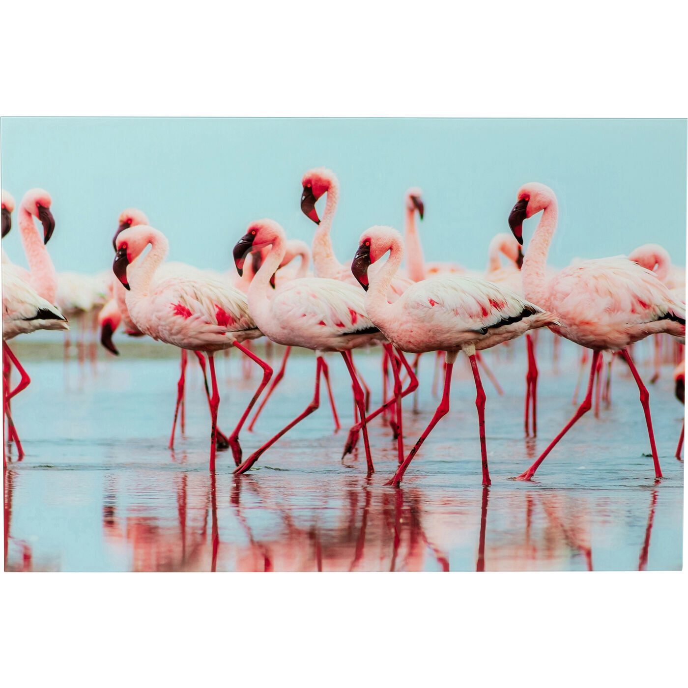 Картина Flamingo 53604 Kare