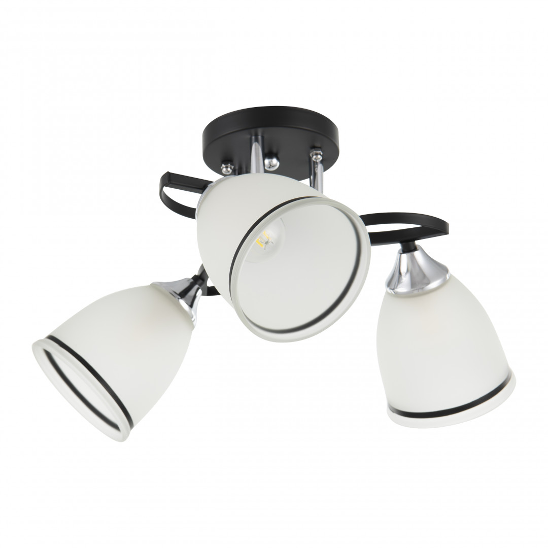 Люстра с плафонами 325885/3A BK+CR Arte Milano