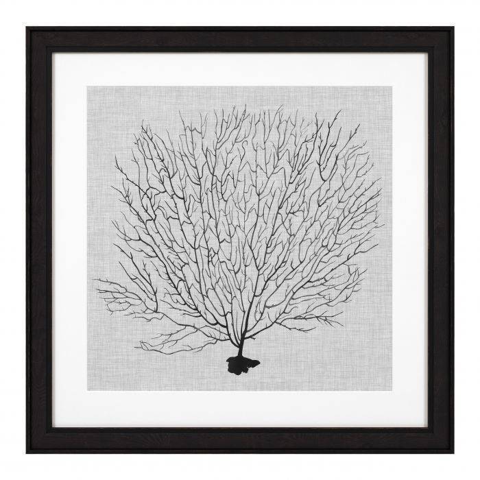 Постеры  Eichholtz Prints EC 289 Shadow Sea Fan 112752