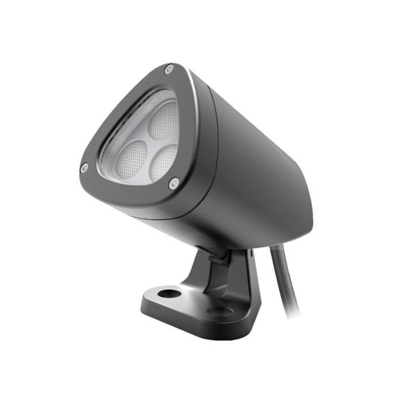 Настенный светильник L'Arte Luce Cris L78387.11