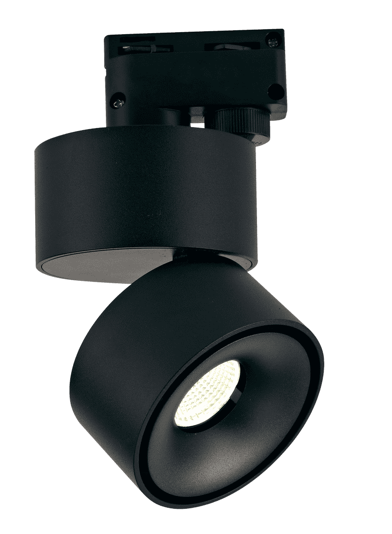 Светильник DesignLed T003112-GD-12-BL-WW