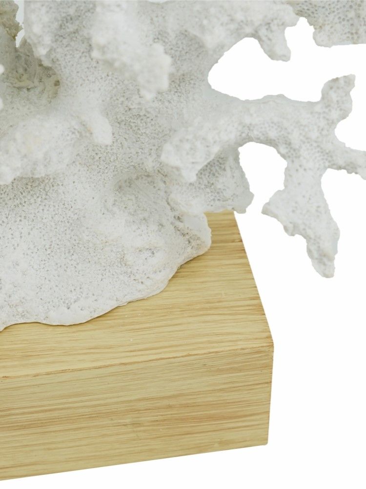 Декор настольный Коралл Glasar 70533