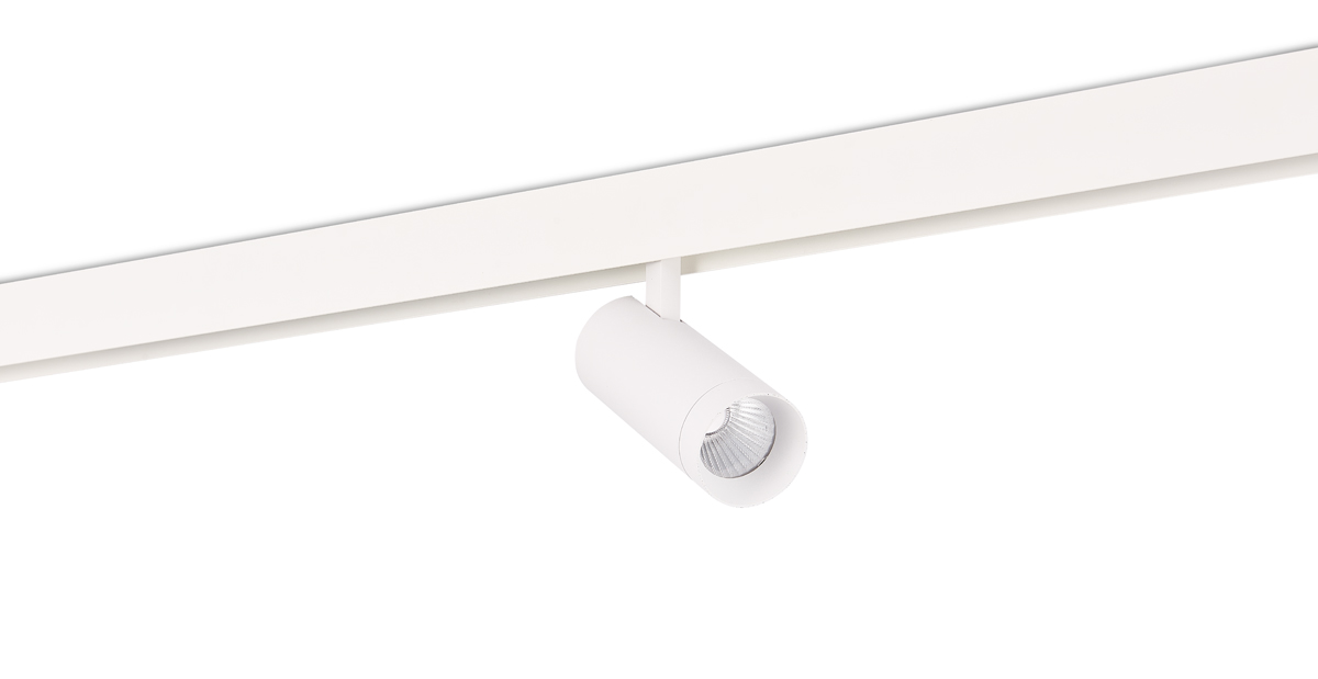 Светодиодный светильник Donolux DL20295NW20W