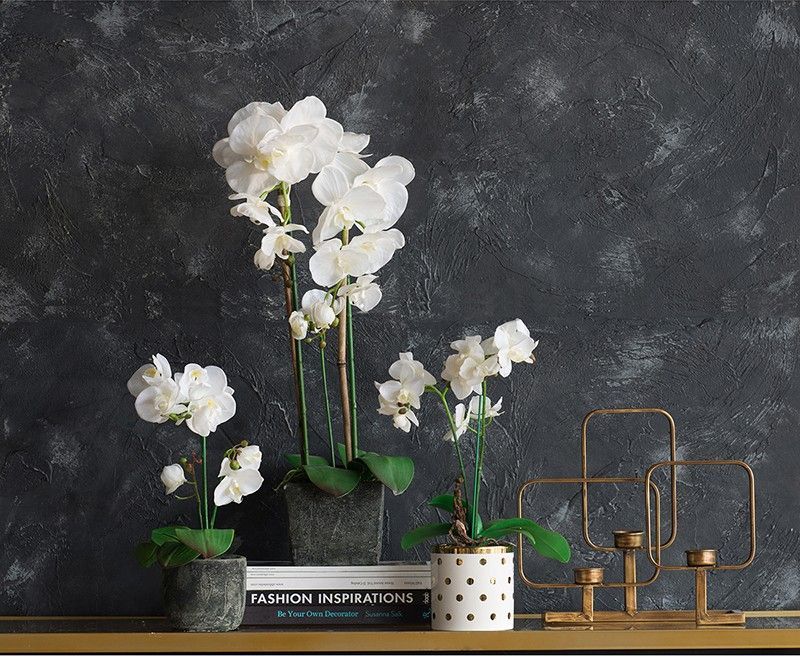 Растение декоративное Орхидея Glasar 2395-DS