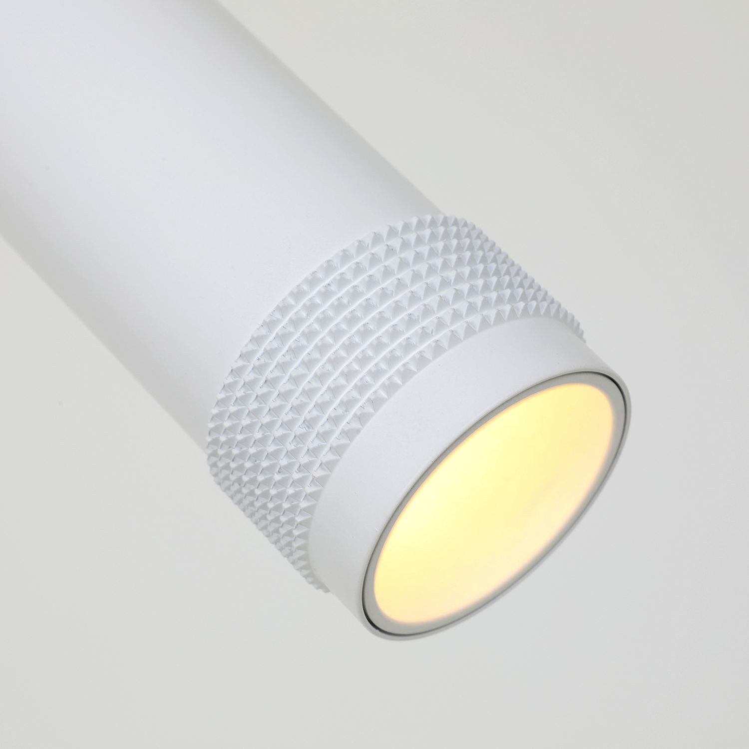 Подвесной светильник Favourite 2453-1P