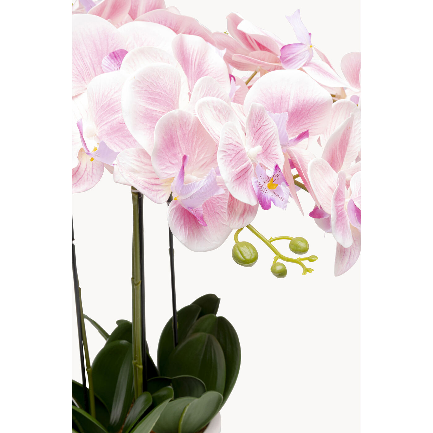 Растение декоративное Orchid Pod 55cm KARE 58350