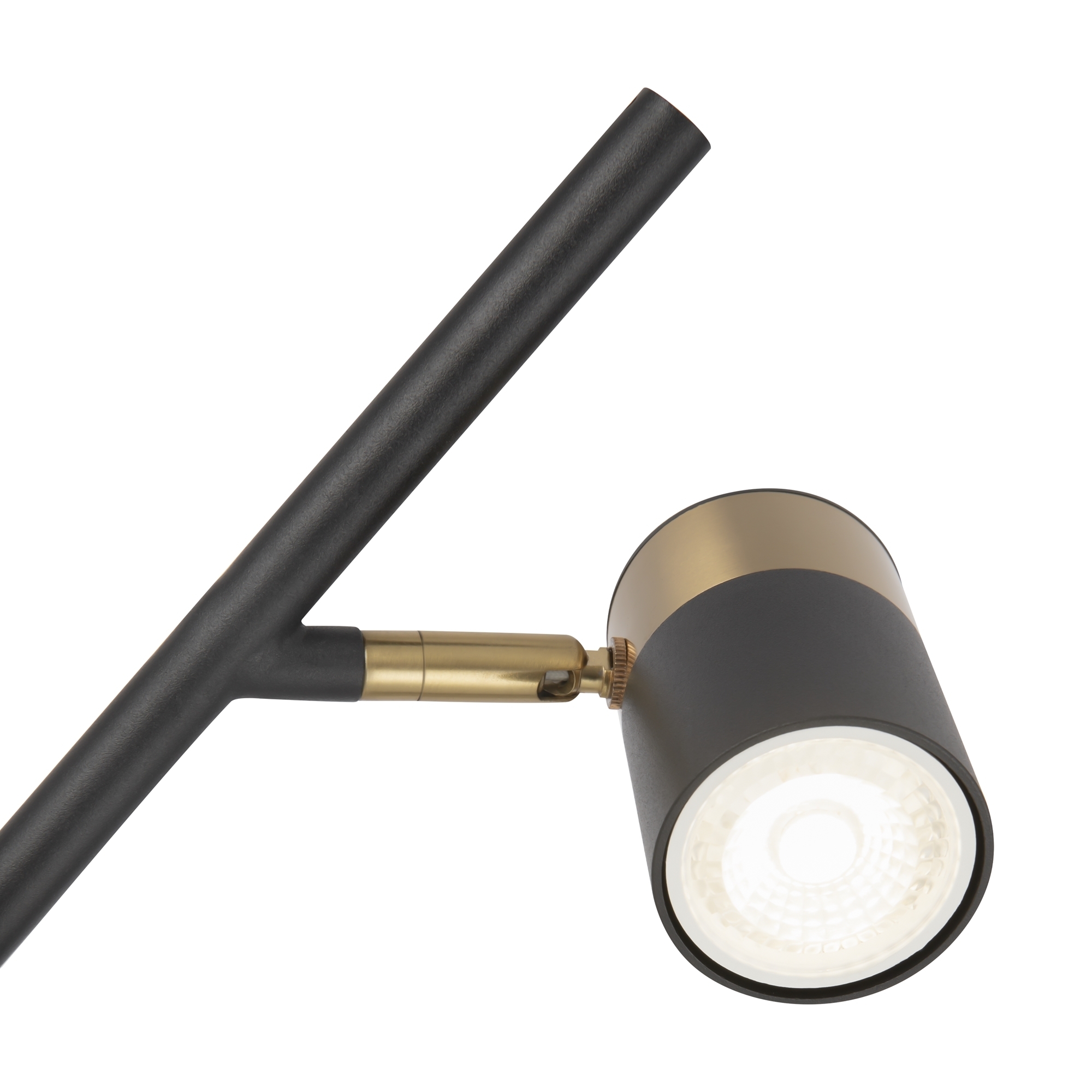 Напольный светильник Freya FR5201FL-01B