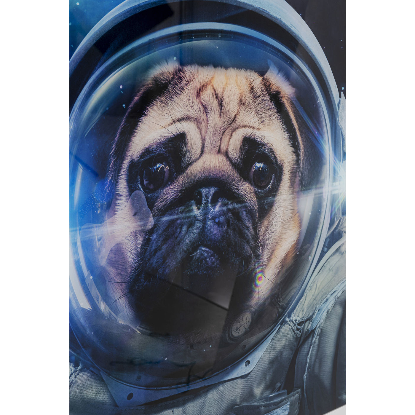 Картина Dog In Space 52596 KARE