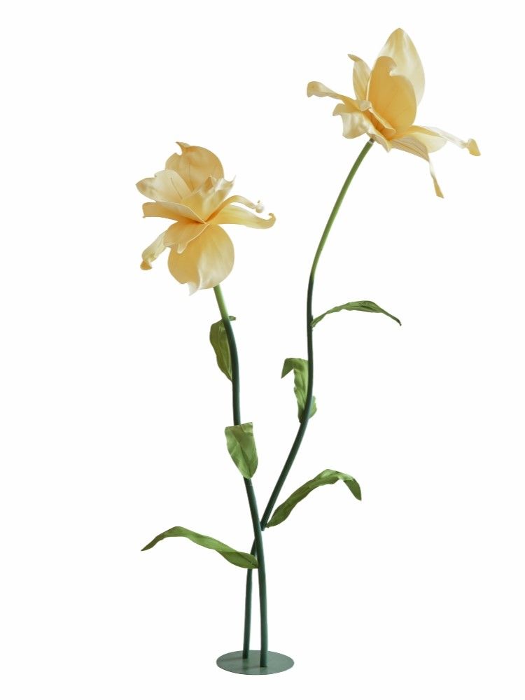 Растение декоративное Ирис Glasar F98621