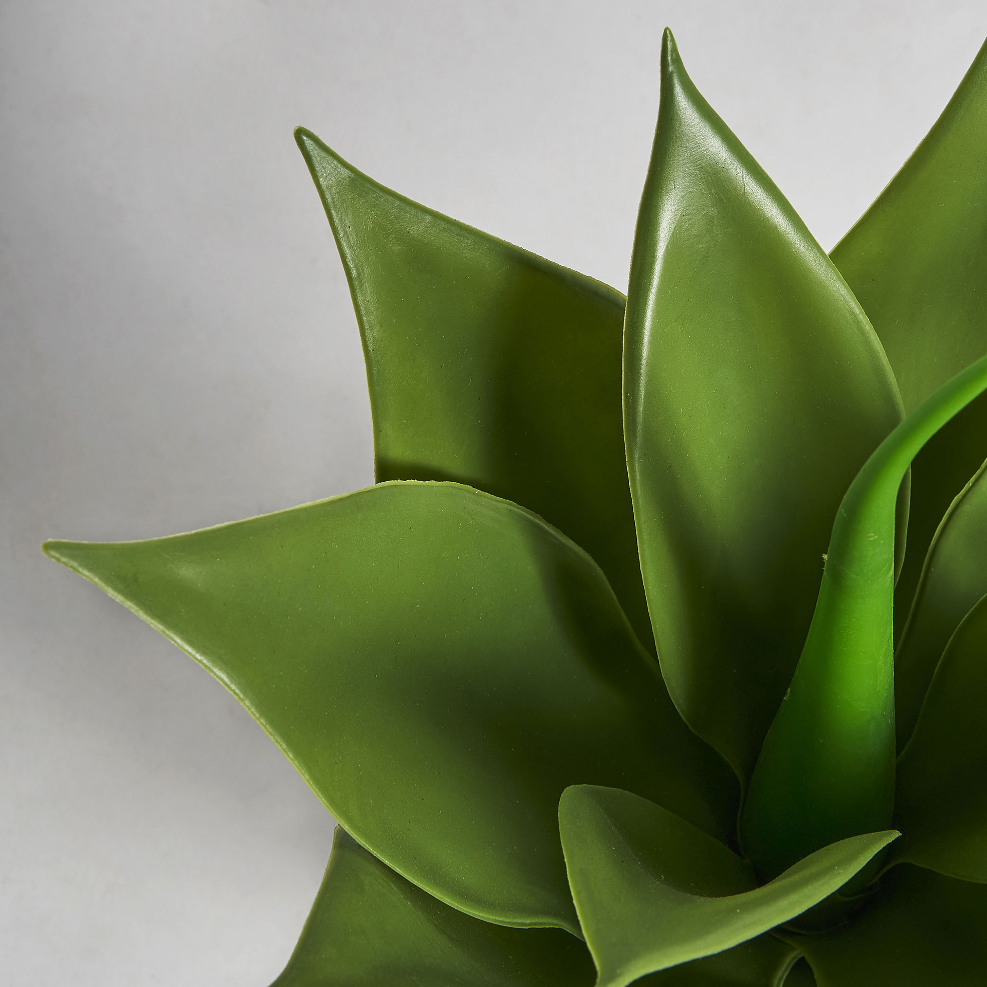 Искусственное растение LOTUS Vical