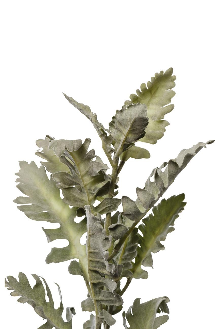 Цинерария Garda Decor 9F28508-5458