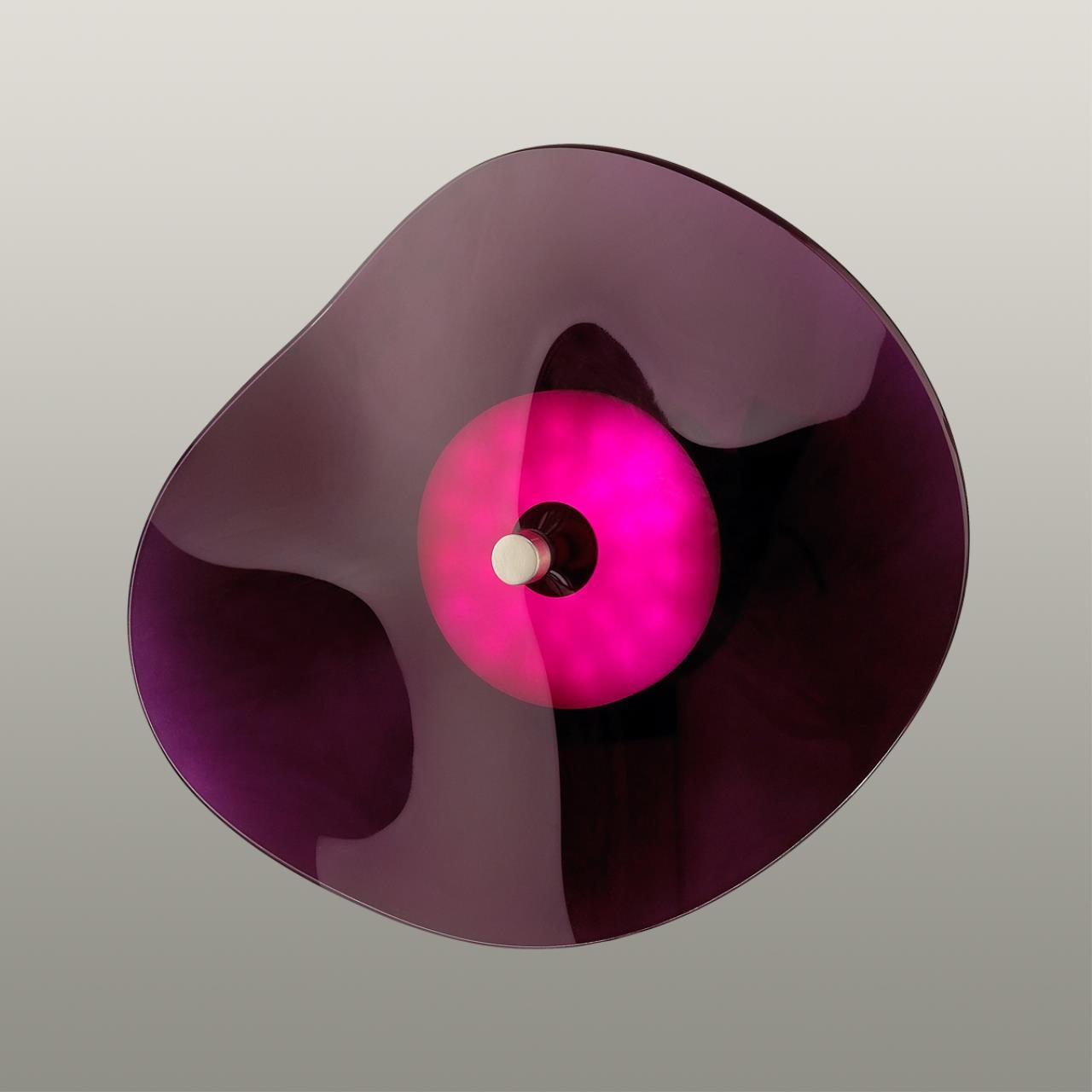 Настенный светильник Odeon Light 4857/5WL