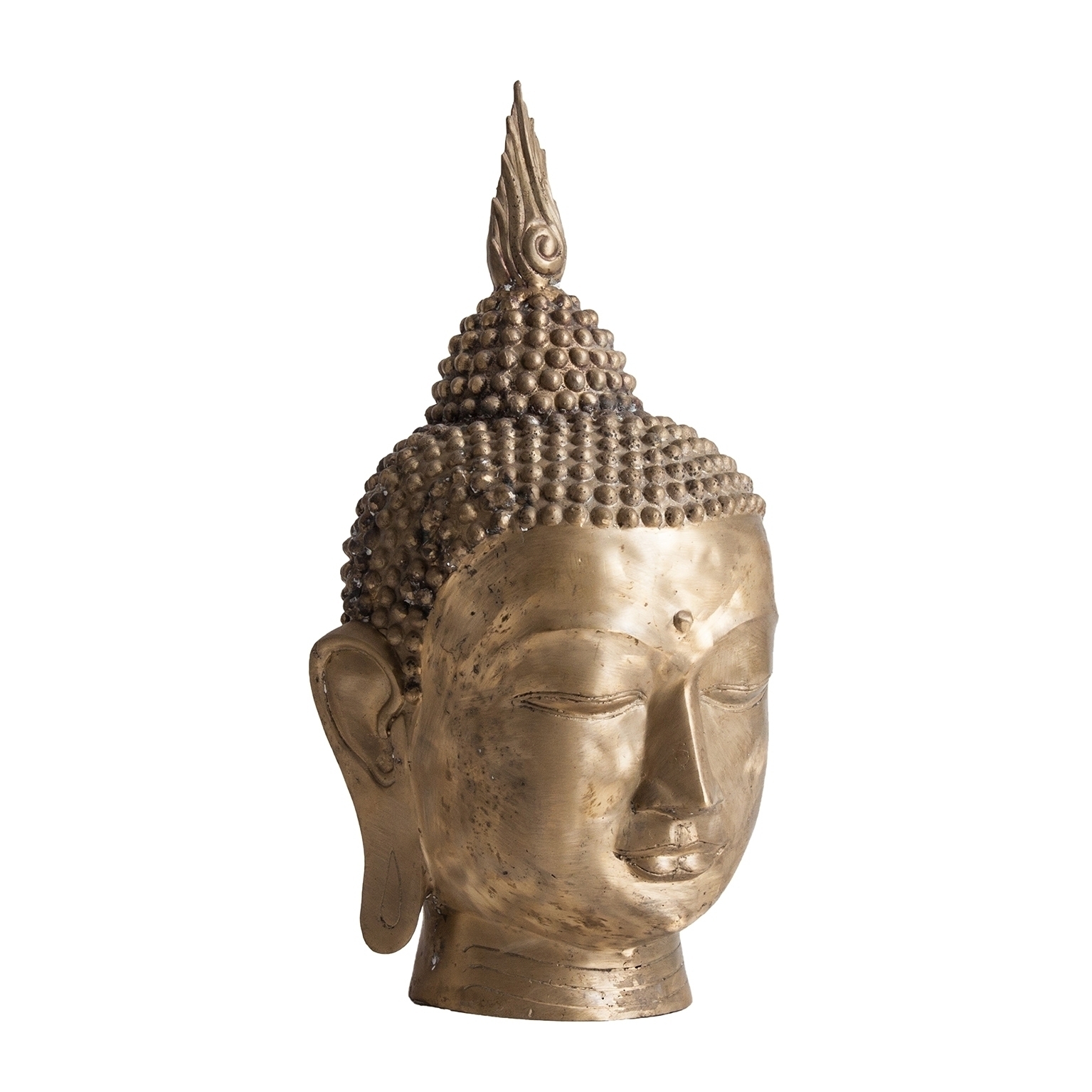 Бюст BUDHA 26927 Vical