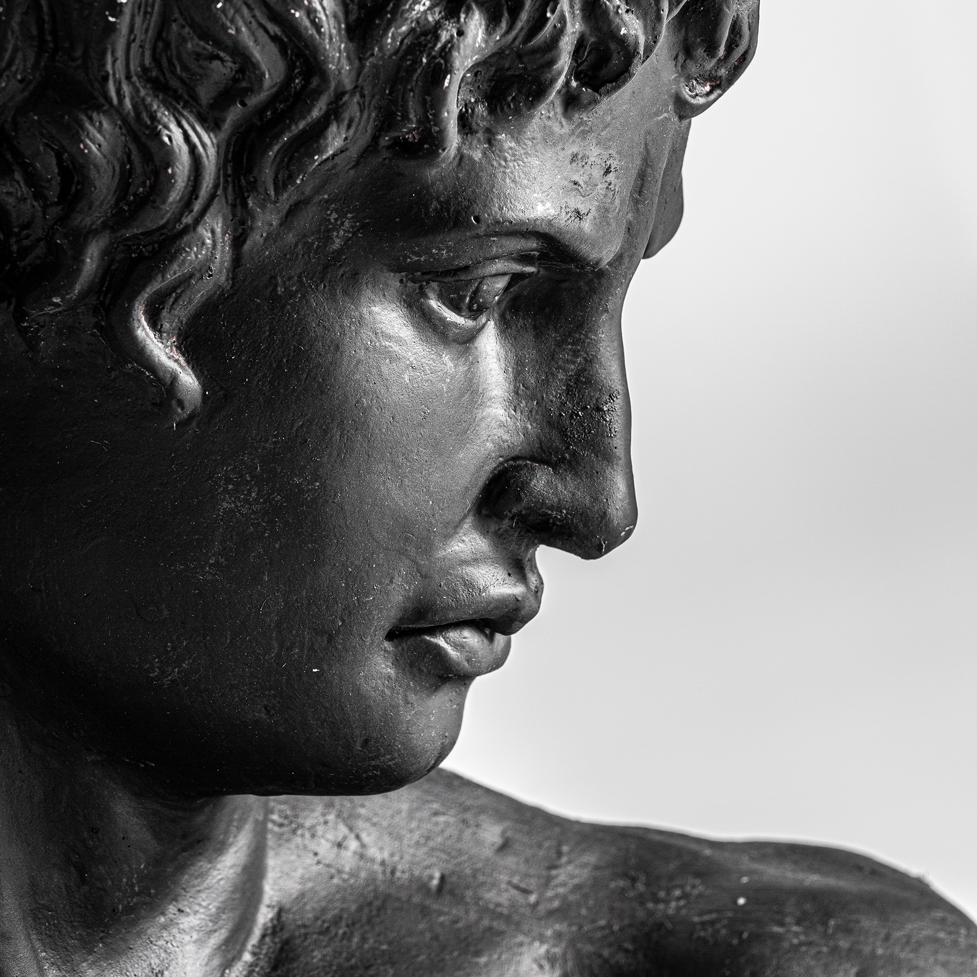 Бюст 33800 Vical