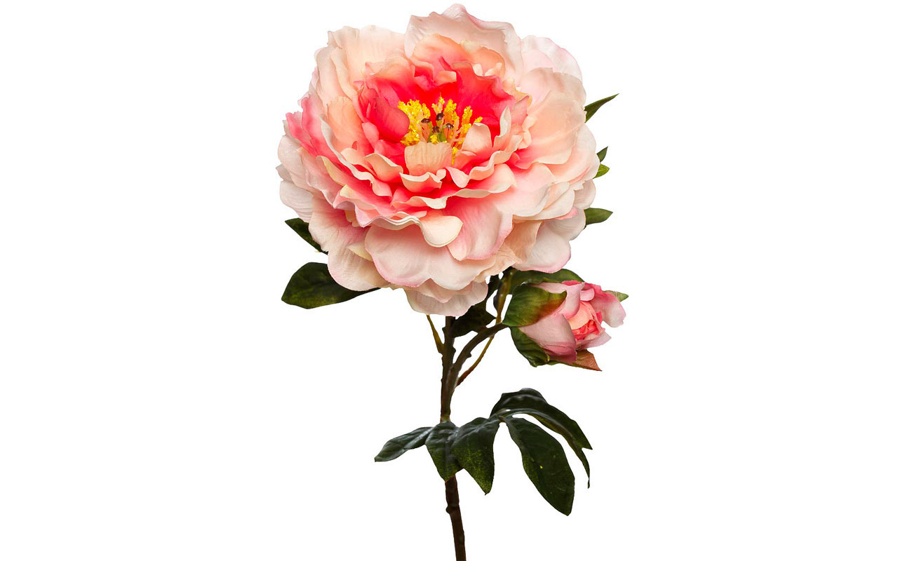 Пион нежно-розовый Garda Decor 9F28071H-4820